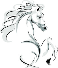 Vector image of horse on white background. eps10