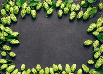 Frame of a Green hop cones, ingredient for authentic brewery, on black textured table surface. Oktoberfest beer festival concept background with copy space.