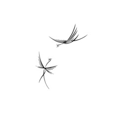 a pair of hovering black birds when using lines on a white background