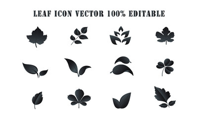 leaf icons set on white background