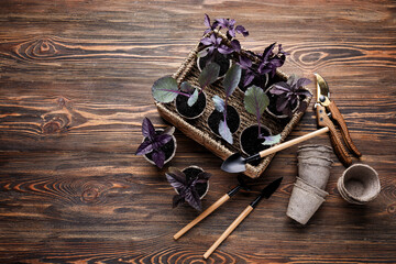 Plants seedlings in peat pots and gardening tools on wooden background