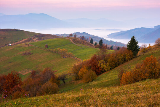 carpathian rural autumn landscape in the morning. mist in the distant valley. trees in colorful foliage on the hills. sunny weather with clouds on the sky