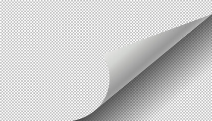 Fototapeta Curled page. Paper page turning corner. Transparent white paper sticker. Vector illustration. obraz