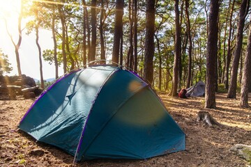 Naturerlebnis Trekking (Pfälzerwald, Deutschland)
