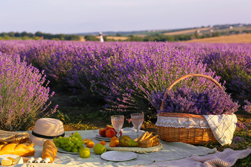 Wicker basket with tasty food and drink for romantic picnic in lavender field
