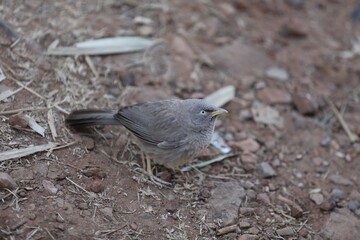 Travel, India, Food, Rajasthan, Dessert, California, USA, London, China, Sunset, Sunrise, Landscape, Hills, Mountains, Kids, Fun