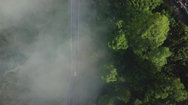 Car in a country road with fog and low visibility
