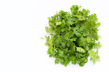 Obraz premium Fresh coriander leaves on white background.