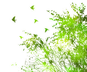 A Green tree with flying birds. Vector illustration