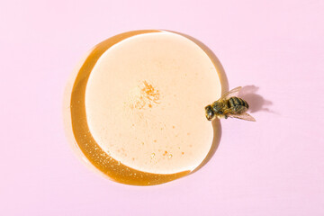 Honey spot and bee on color background