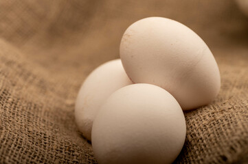 White chicken eggs on homespun fabric with a rough texture, close-up selective focus.