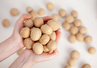 A lot of whole walnuts in women's hands on a white background close-up. Healthy, organic food with a high content of protein and protein.