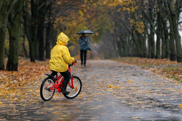 Child in bright raincoat drives in park wet from the rain. Autumn park. Back view