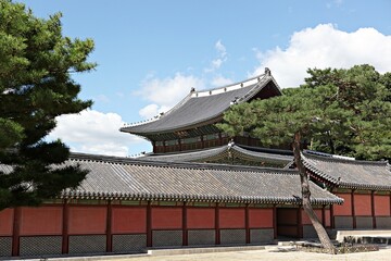 Obraz premium 한국의왕실창덕궁입니다