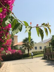 Travel, India, Food, Rajasthan, Dessert, California, USA, London, China, Sunset, Sunrise, Landscape, Hills, Mountains, Kids, Fun