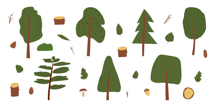 Hand drawn cartoon vector illustration set of summer nature forest park landscape background elements with green trees, leaves, acorn, mushrooms.