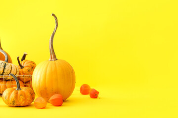 Composition with ripe pumpkins and physalis on color background