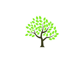  Abstract vibrant tree logo design, root vector - Tree of life logo design inspiration isolated on white background.