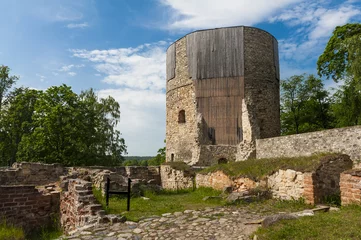 Fototapeten Castle in Cesis in Latvia © Fyle