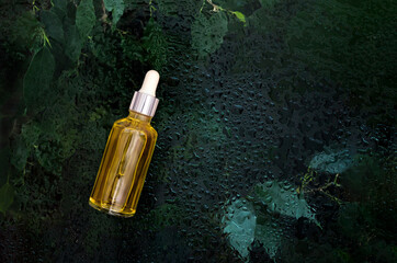 cosmetic serum bottle on natural background with water drops organic cosmetics