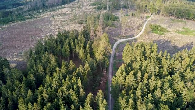 Drone Aerial view of forest dieback caused by climate change, dryness and the bark beetle in the Taunus at Sandplacken in summer on a sunny day close to Gro&szlig;er Feldberg, Hessen Germany	