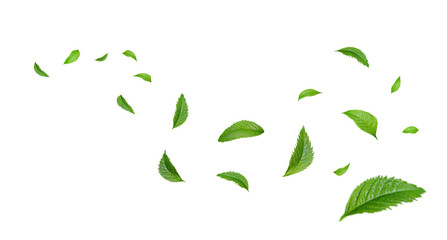 Green Floating Leaves Flying Leaves Green Leaf Dancing, Air Purifier Atmosphere Simple Main Picture
