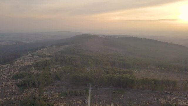 2in1 clip: Aerial drone view of forest dieback during sunrise caused by climate change and bark beetle city of Frankfurt and Oberursel in the background, Hessen Germany