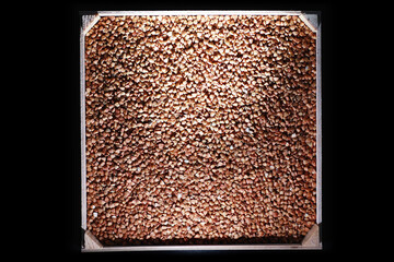 A set of grain cereals. Rice, buckwheat and millet groats in a wooden tray. A grocery set of...