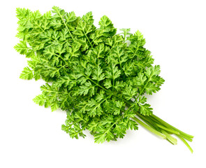 fresh chervil isolated on white background, top view