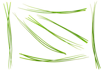 fresh chives isolated on white background, top view