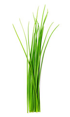 fresh chives isolated on white background, top view