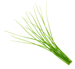 fresh chives isolated on white background, top view