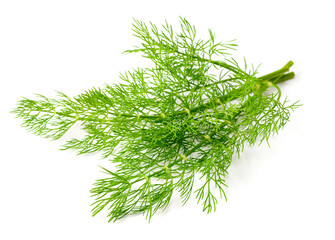fresh dill herb isolated on white background