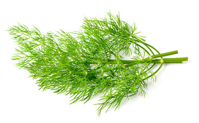 fresh dill herb isolated on white background