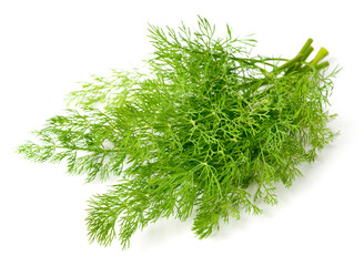 fresh dill herb isolated on white background