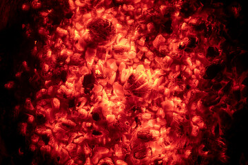 Red glowing charcoal in a campfire against