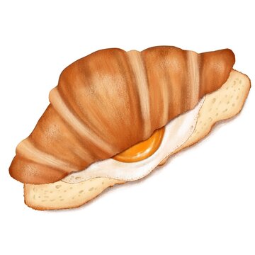 Croissant sandwich bread Illustration on a white background foods drawing ideas 