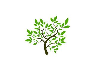 Obraz premium Twistree Logo Template. An illustration of two trunk twisting each other in a helix. Vector illustration nature tree..eps