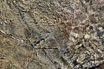 The texture of a large stone washed by clear water.