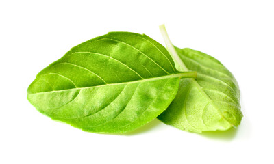 Obraz premium fresh lemon basil leaves isolated on white background