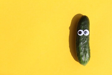 A fresh cucumber with eyes lies on a yellow background.