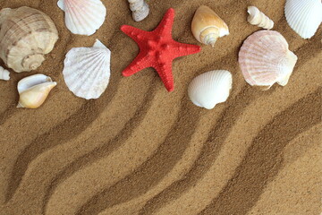 Fototapeta na wymiar Travel theme. Seashells lie on the sand with space for text.