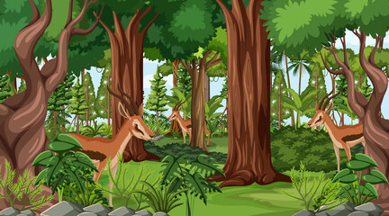Fototapeta premium Wild animals in forest landscape background