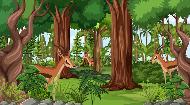 Wild animals in forest landscape background
