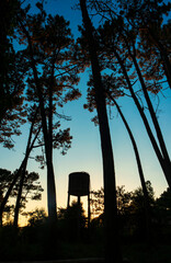 Silueta de un deposito de abastecimiento de agua en medio del bosque de la isla de La Toja, Galicia