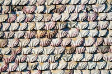 Detalle de una pared cubierta con conchas marinas