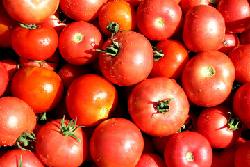 Texture of red ripe tomatoes with water drops in bright sunlight.