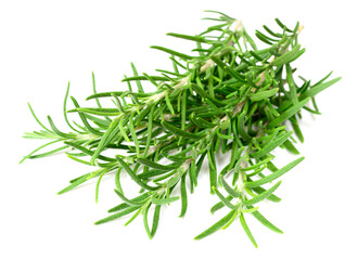 fresh rosemary isolated on white background