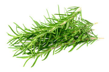 fresh rosemary isolated on white background