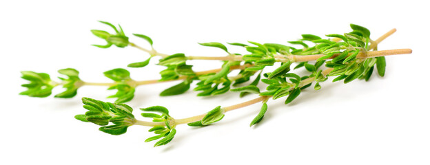 fresh thyme isolated on white background